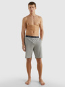 Tommy Hilfiger Underwear Sleeping shorts
