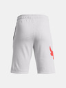 Under Armour UA Project Rock Terry Kids Shorts