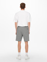 ONLY & SONS Ceres Short pants